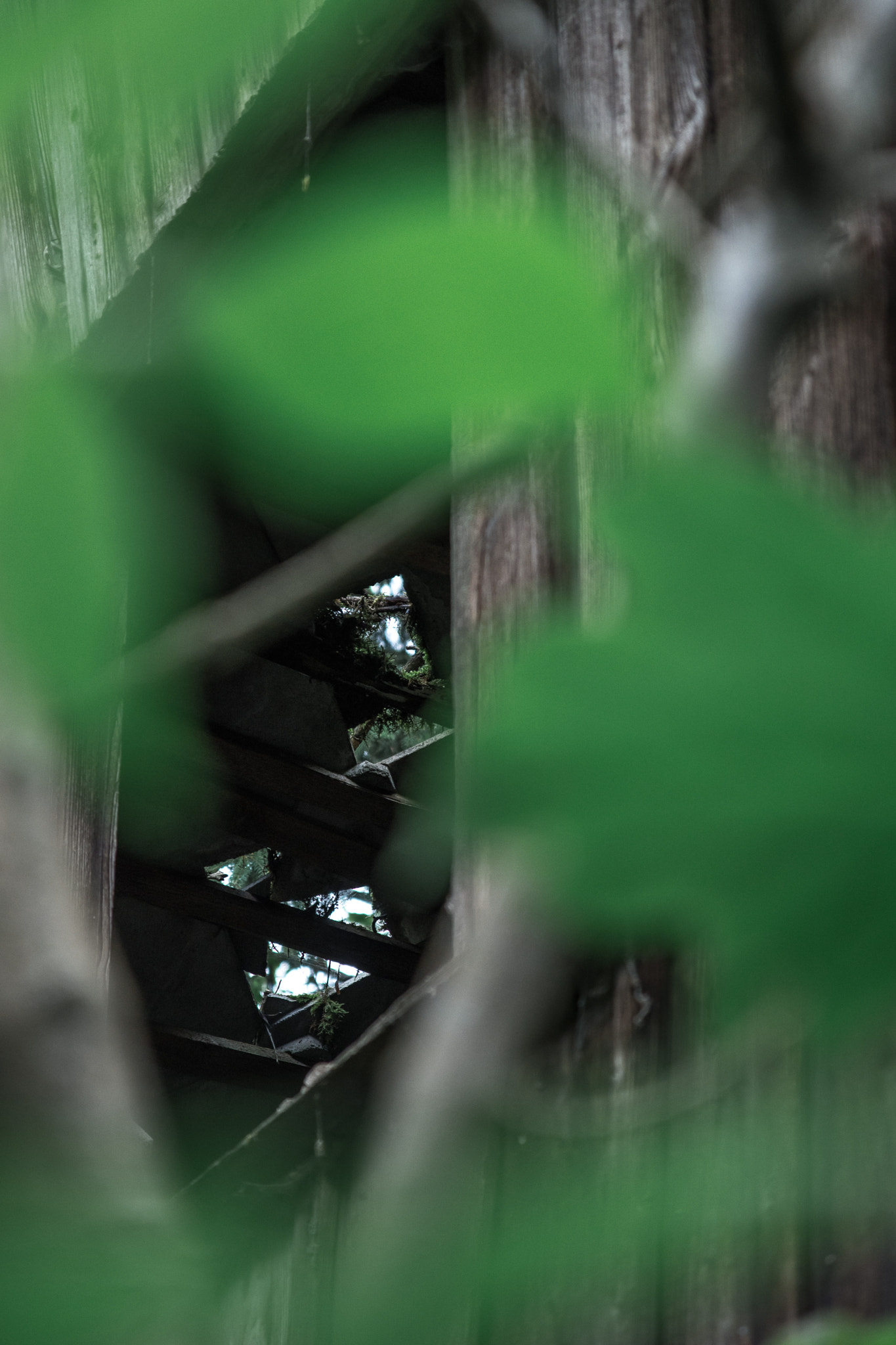 Sigma 17-70mm F2.8-4 DC Macro OS HSM sample photo. Abandoned photography