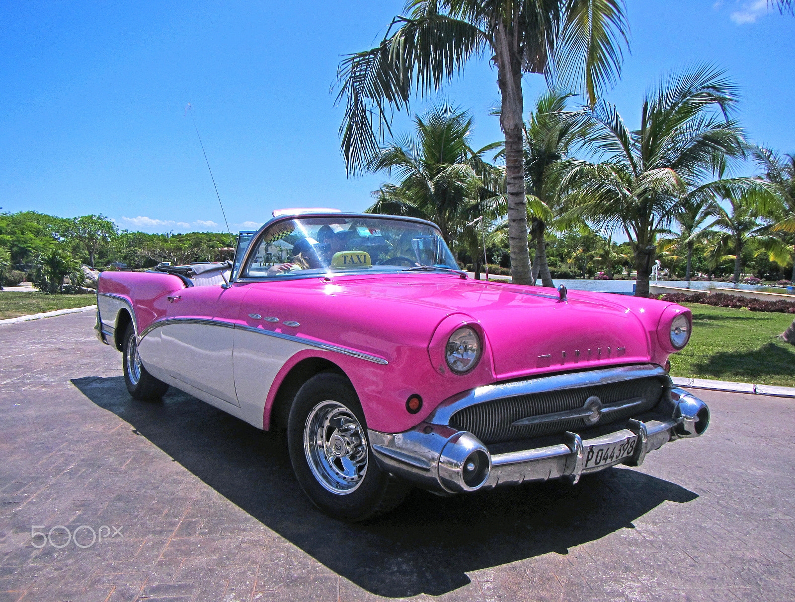 Canon PowerShot D20 sample photo. Your taxi has arrived! photography
