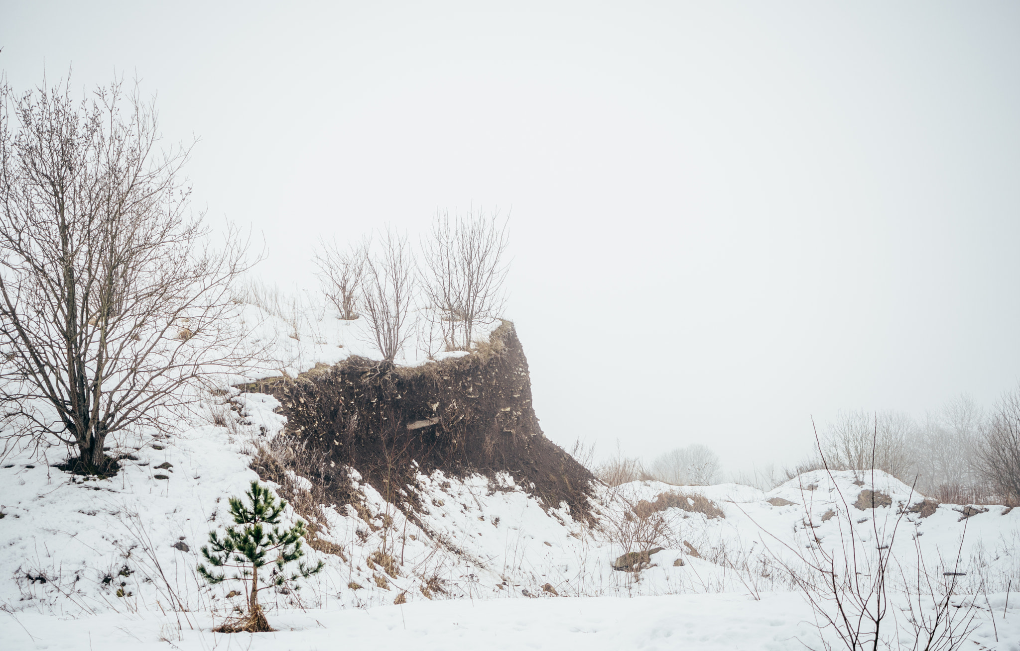 Nikon D610 + AF Zoom-Nikkor 28-70mm f/3.5-4.5D sample photo. Sleeping nature photography