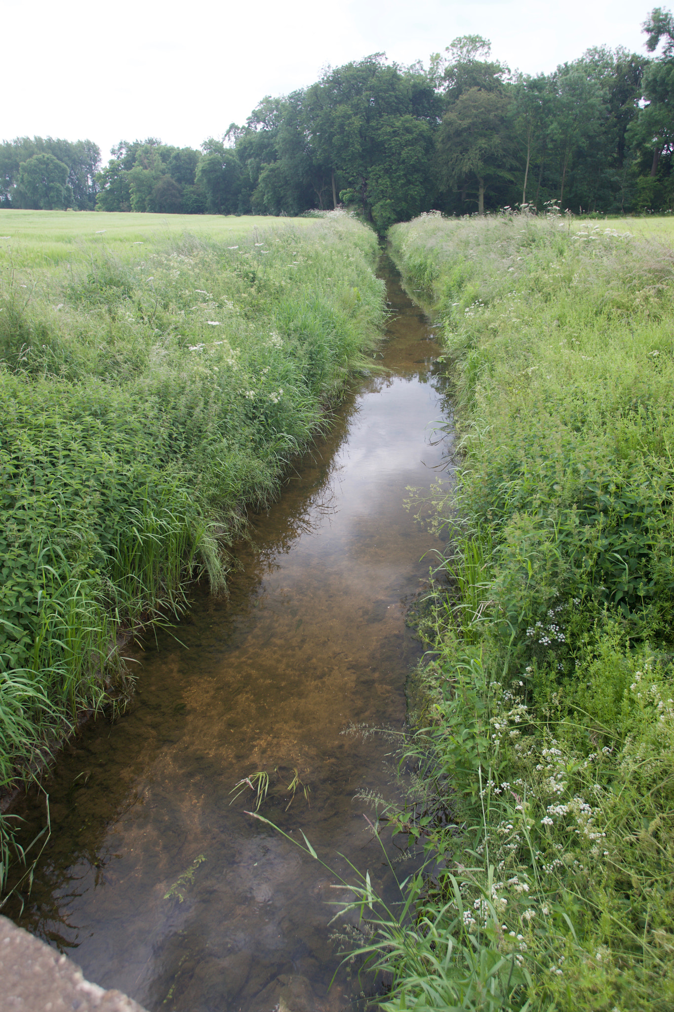 Canon EF 17-35mm f/2.8L sample photo. River eau2.jpg photography