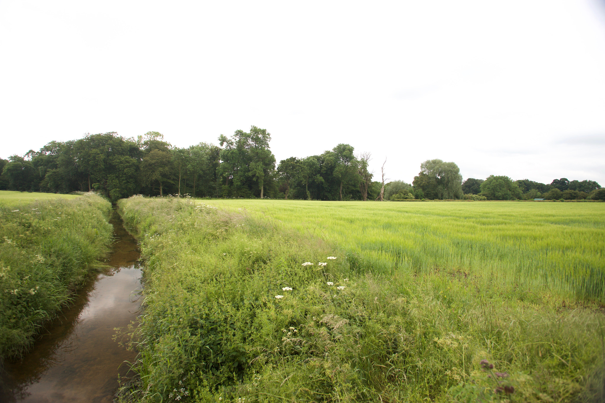 Canon EF 17-35mm f/2.8L sample photo. River eau.jpg photography