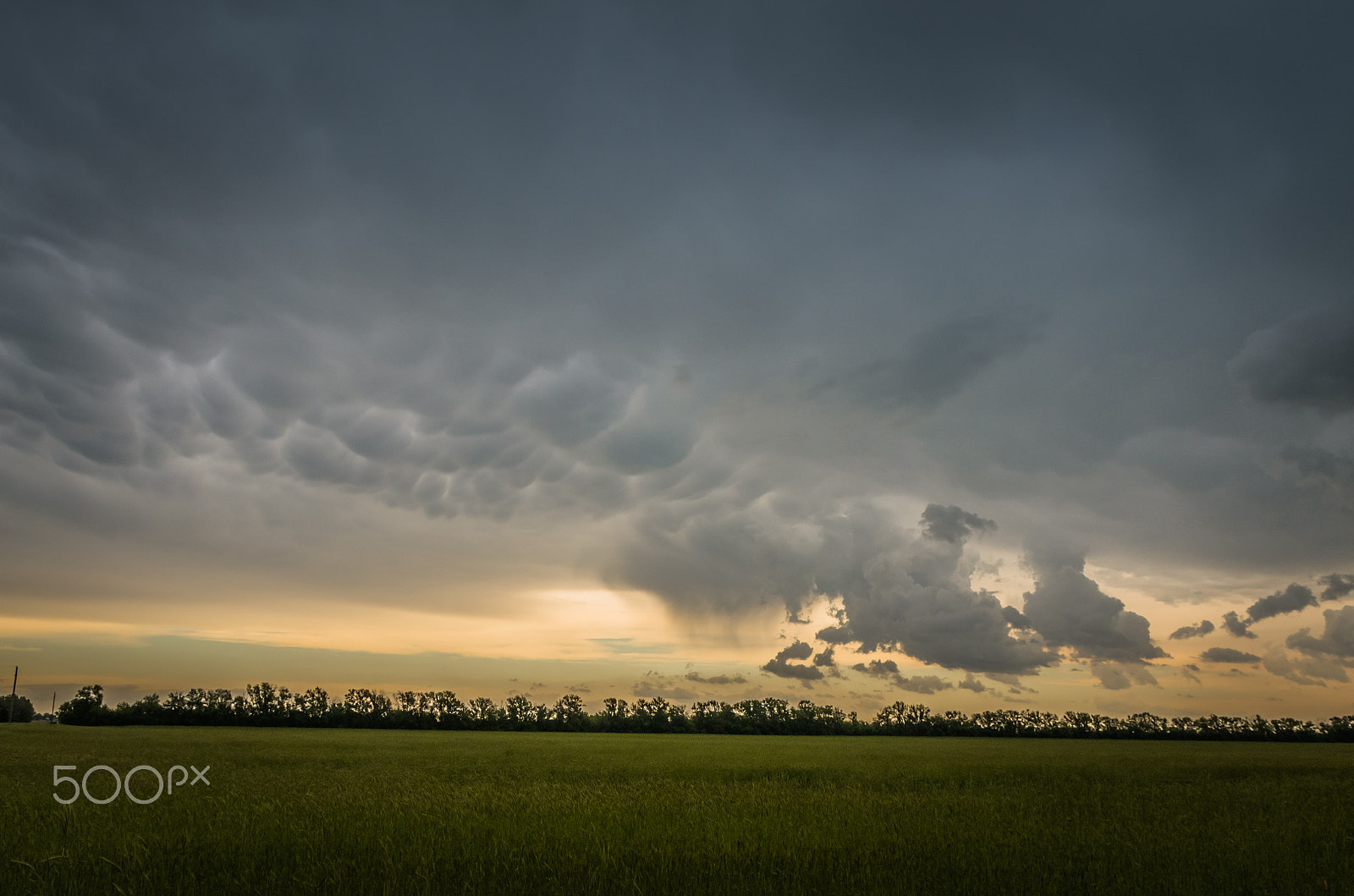Sigma 17-70mm F2.8-4 DC Macro HSM | C sample photo. Wheat field mammatus photography