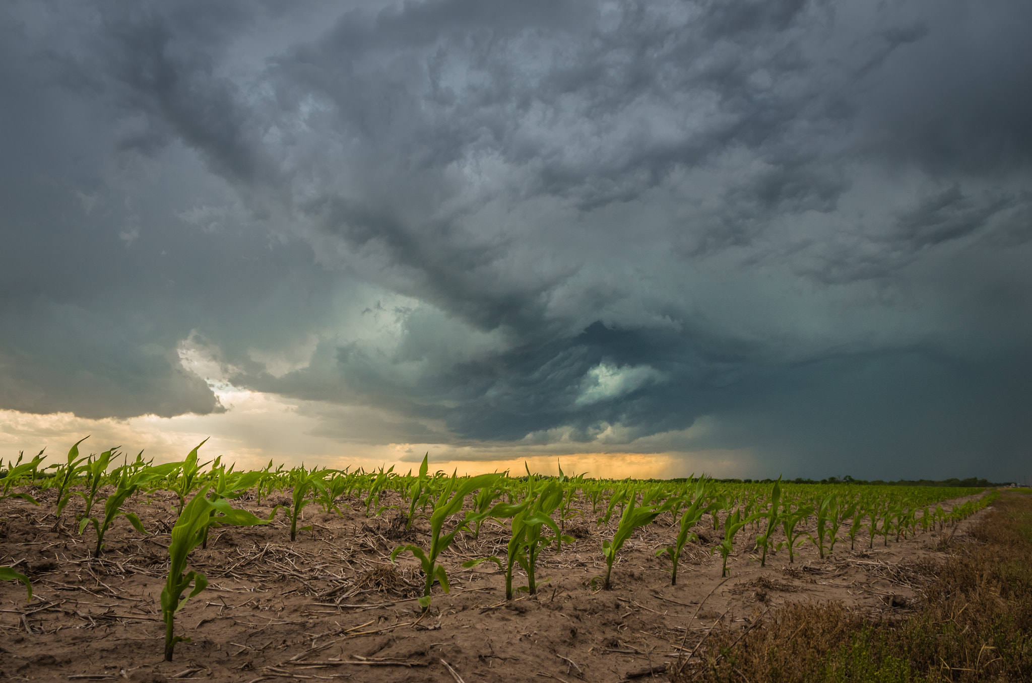 Sigma 17-70mm F2.8-4 DC Macro HSM | C sample photo. Corn storm photography