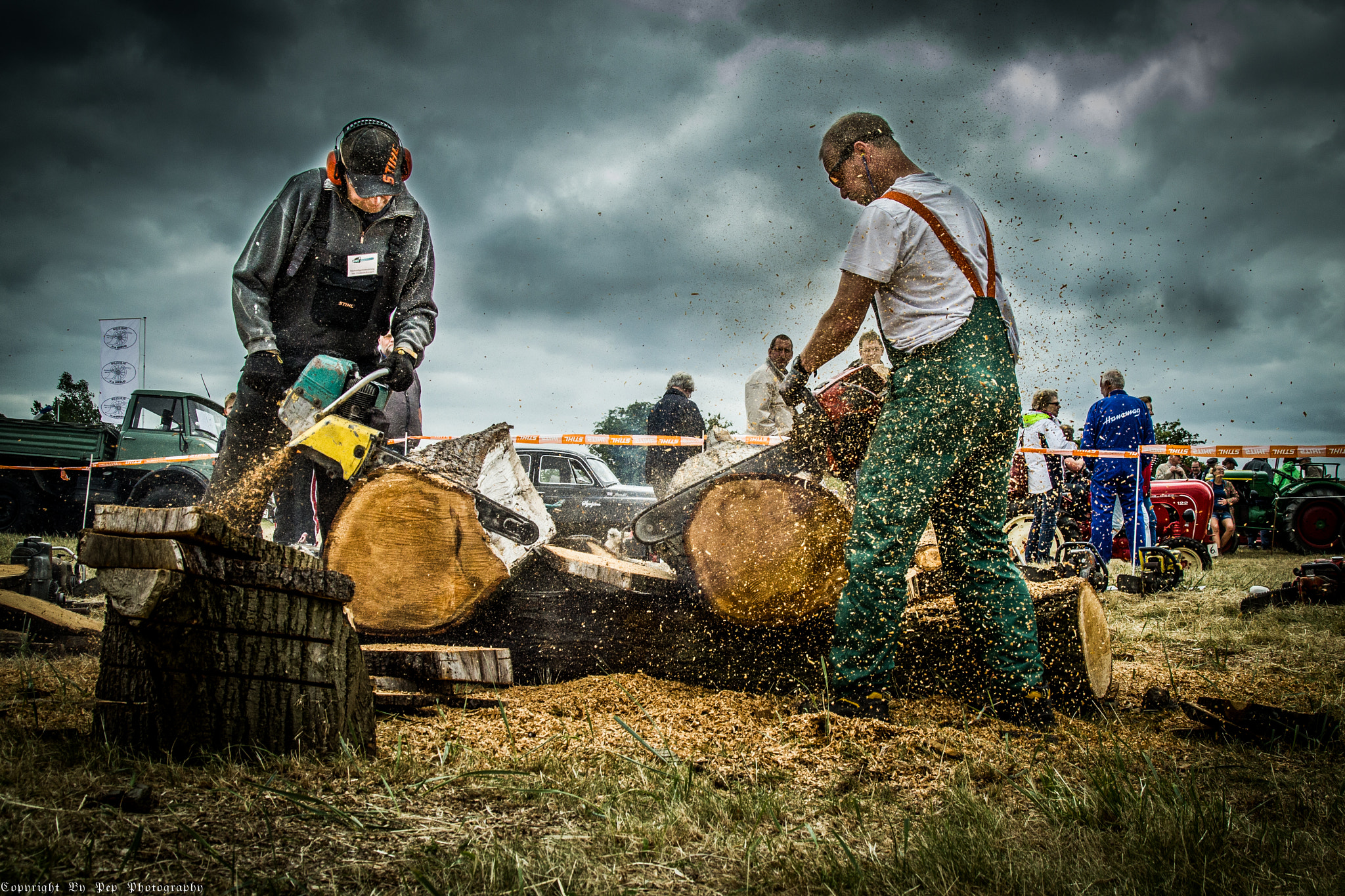 Sigma 17-70mm F2.8-4 DC Macro OS HSM sample photo. Chainsaw photography