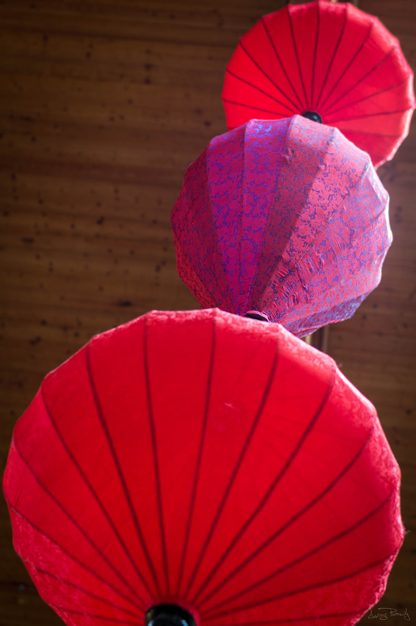 Sony Planar T* 50mm F1.4 ZA SSM sample photo. Looked up photography