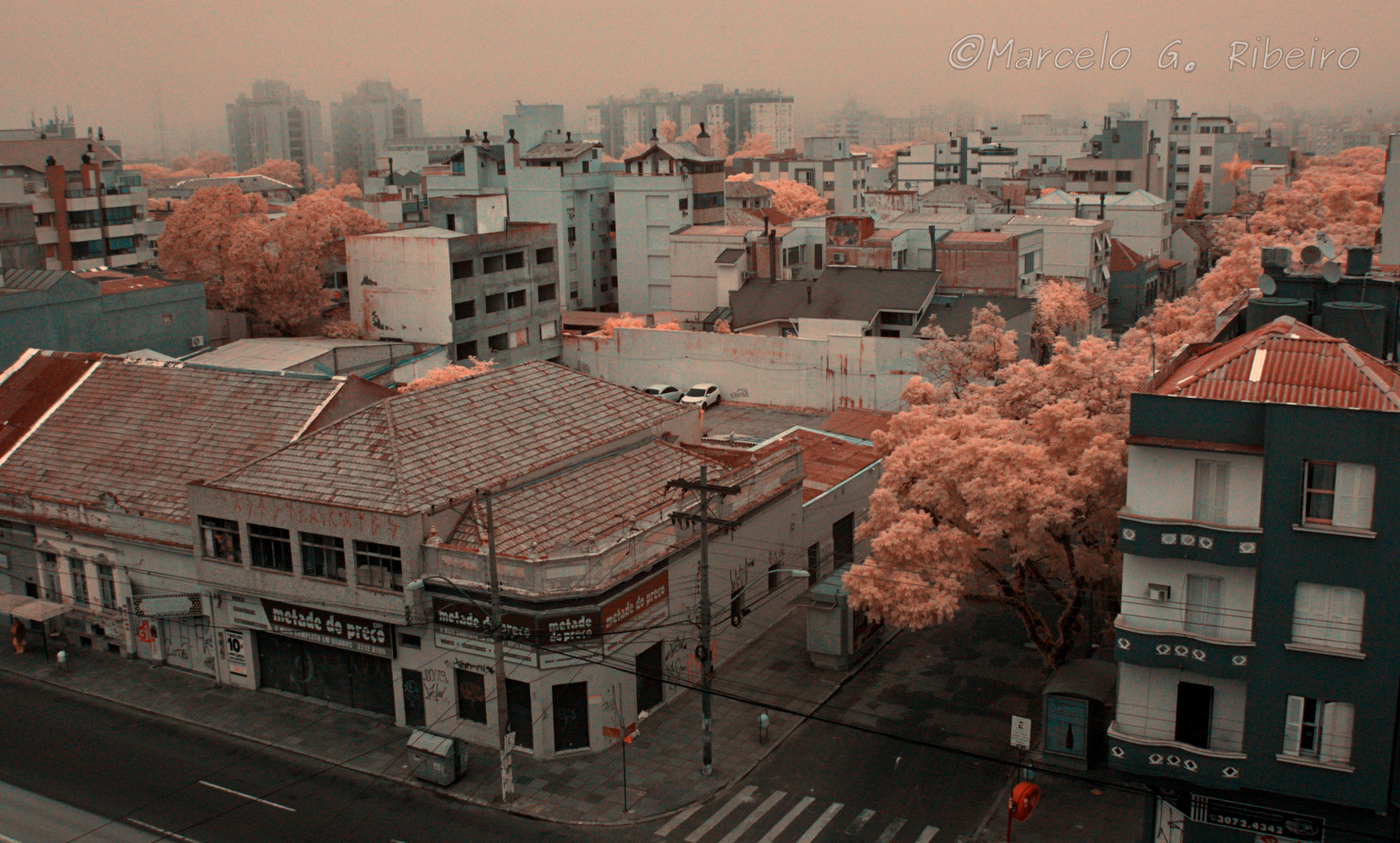Nikon D70s sample photo. Cold day photography