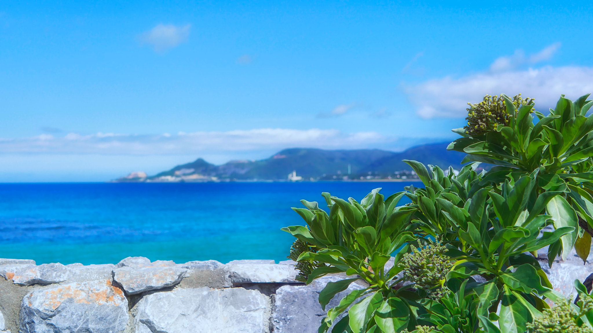 Panasonic Lumix DMC-GH3 + LUMIX G 25/F1.7 sample photo. The view from the okinawa nago coast. photography