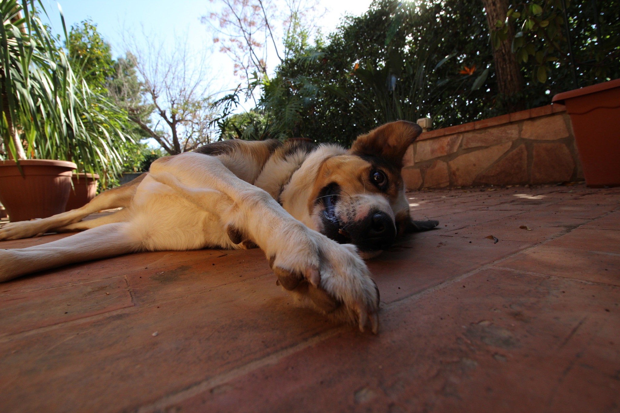 Canon EF-S 10-18mm F4.5–5.6 IS STM sample photo