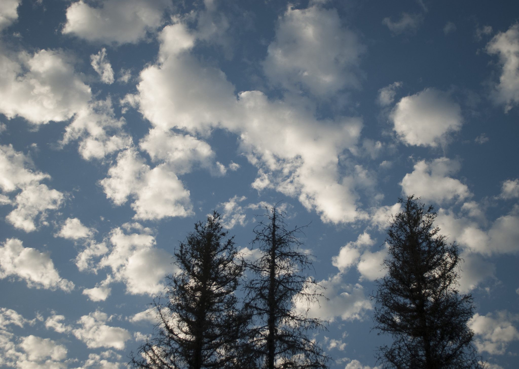 Nikon D80 sample photo. I love clouds! photography