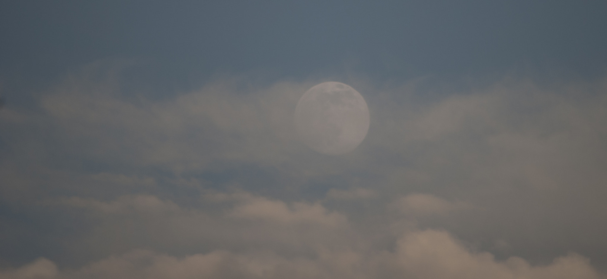 Nikon D80 sample photo. Moonstruck photography