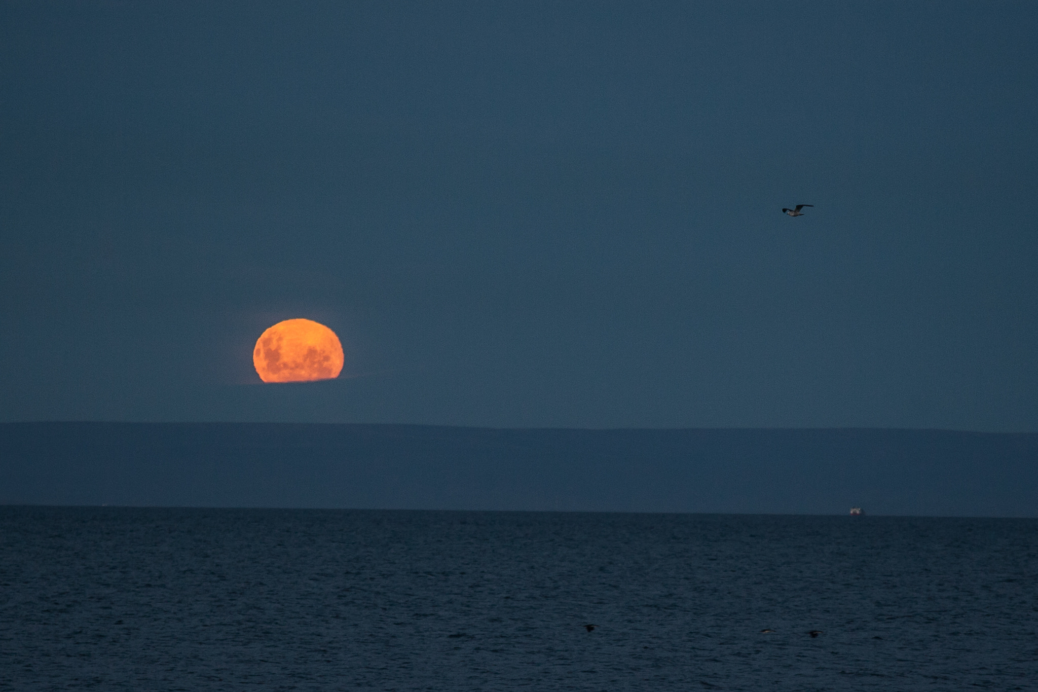 Canon EOS-1D Mark III sample photo. 16:40 pm en punta arenas photography