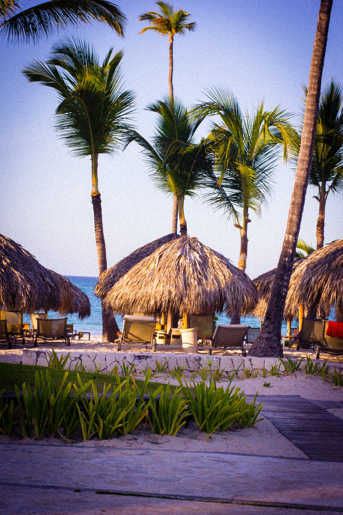 ZEISS Planar T* 50mm F1.4 sample photo. Dominican - 1 photography