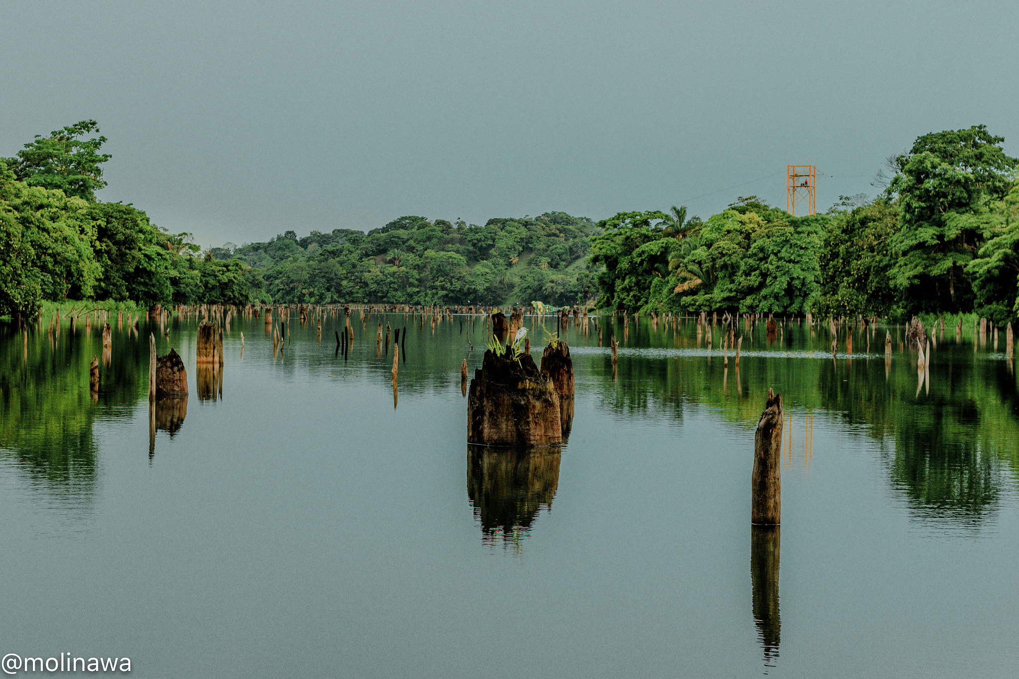 Canon EOS 7D Mark II + Canon EF 50mm F1.8 II sample photo. Mangroves photography