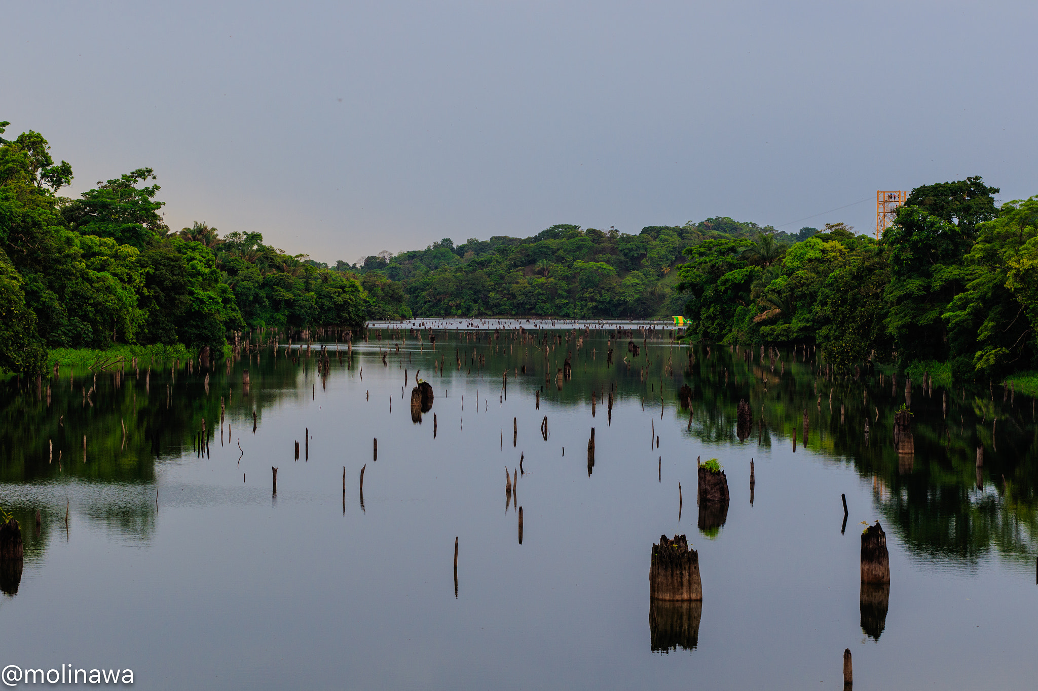 Canon EOS 7D Mark II + Canon EF 50mm F1.8 II sample photo. Mangroves panama photography