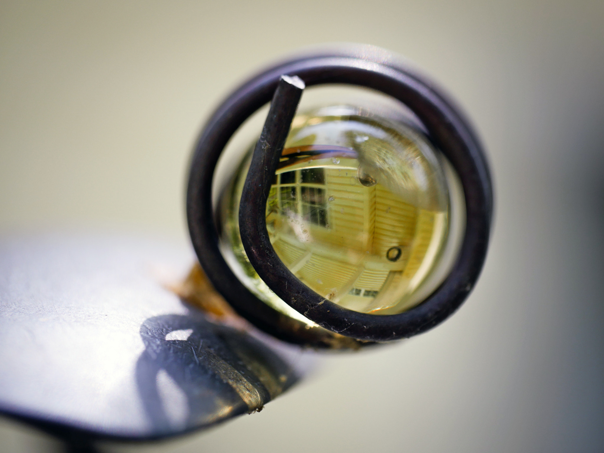 Panasonic Leica DG Macro-Elmarit 45mm F2.8 ASPH OIS sample photo. Marble eye photography