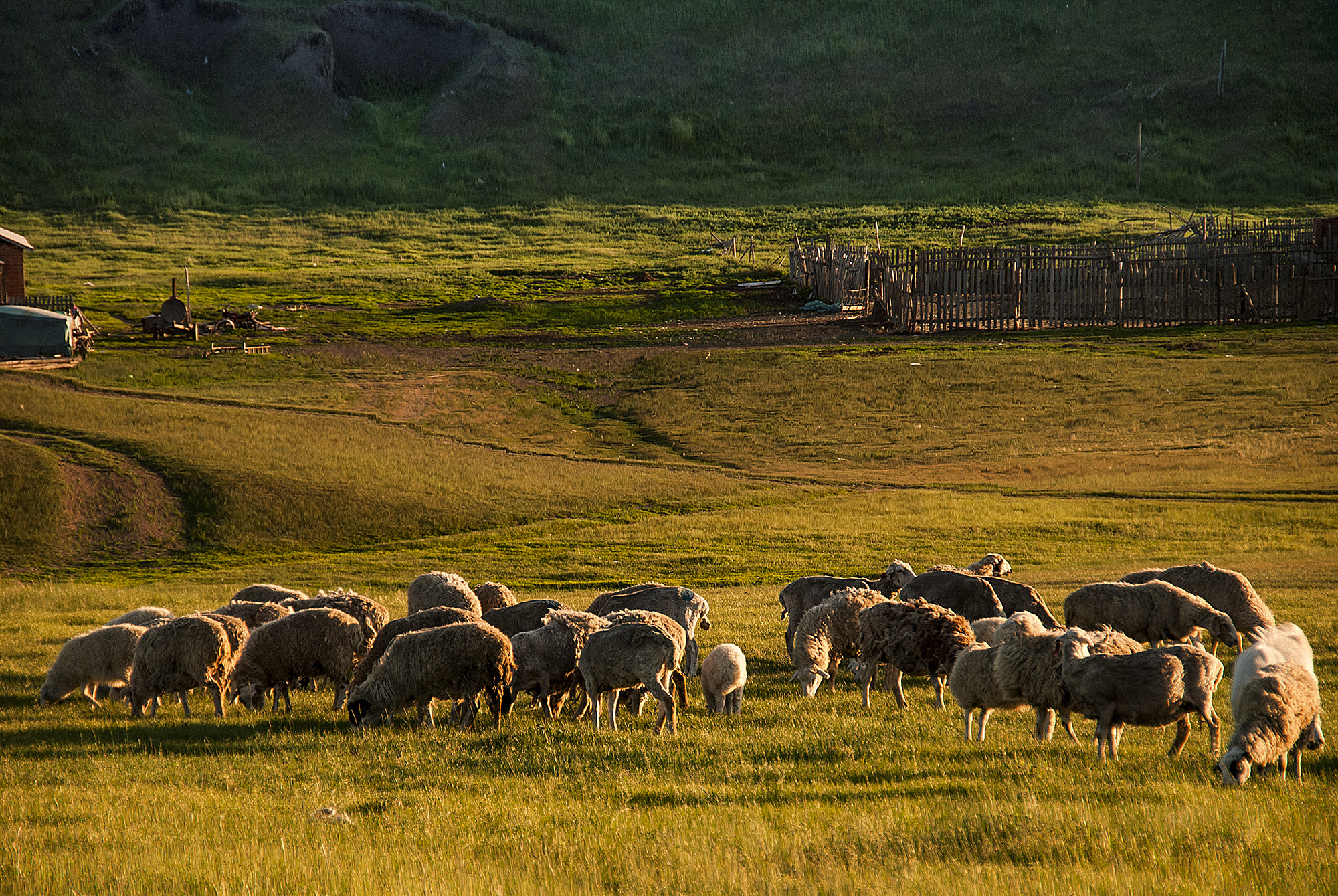 Nikon D80 sample photo. Prairie sunset photography