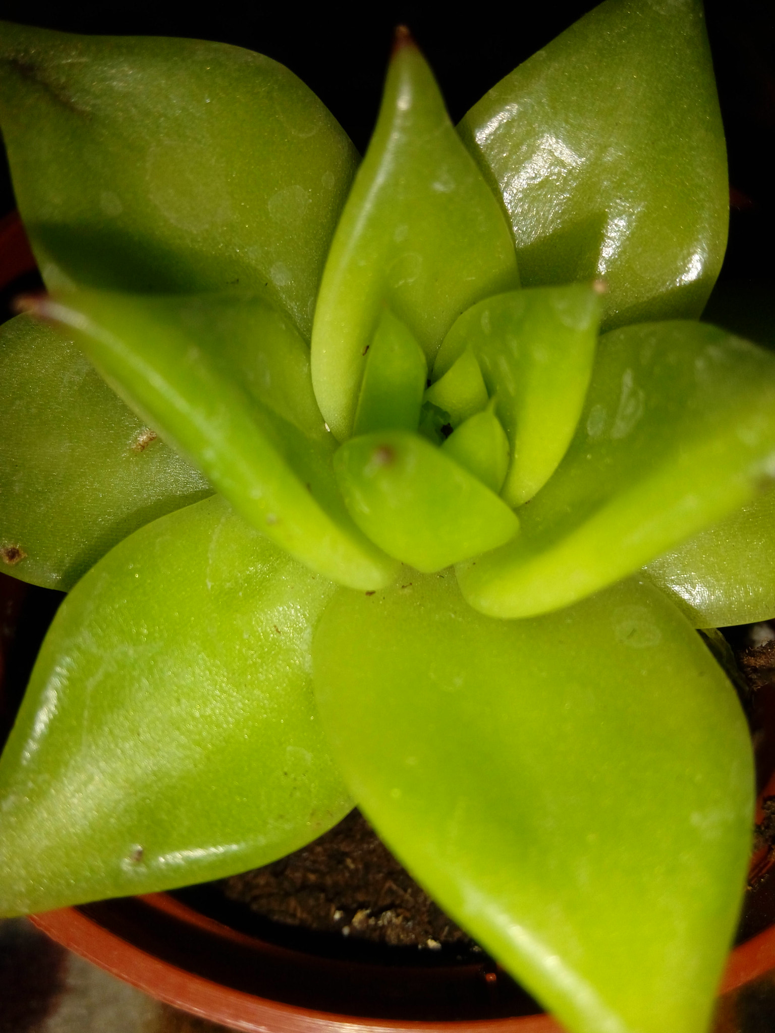 HTC DESIRE 820G PLUS DUAL SIM sample photo