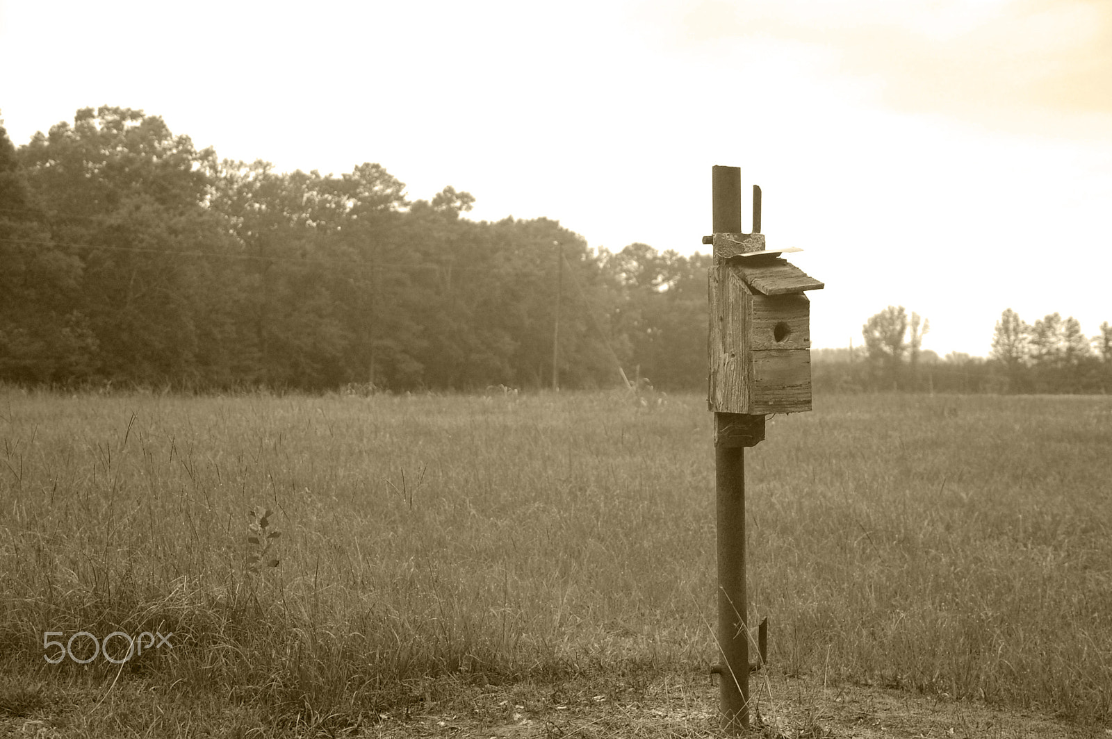 Nikon D40 sample photo. Lone birdhouse photography