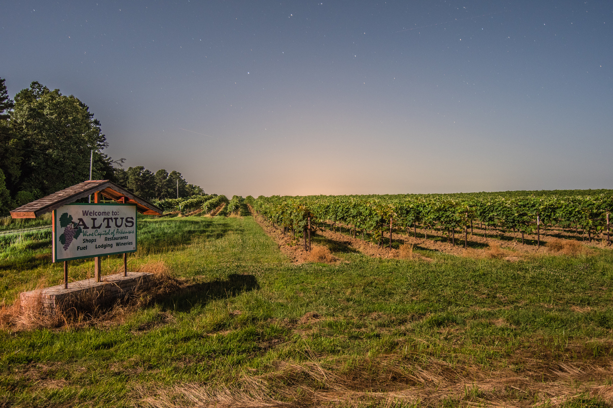 Nikon D500 sample photo. Moonlight over arkansas vineyards photography