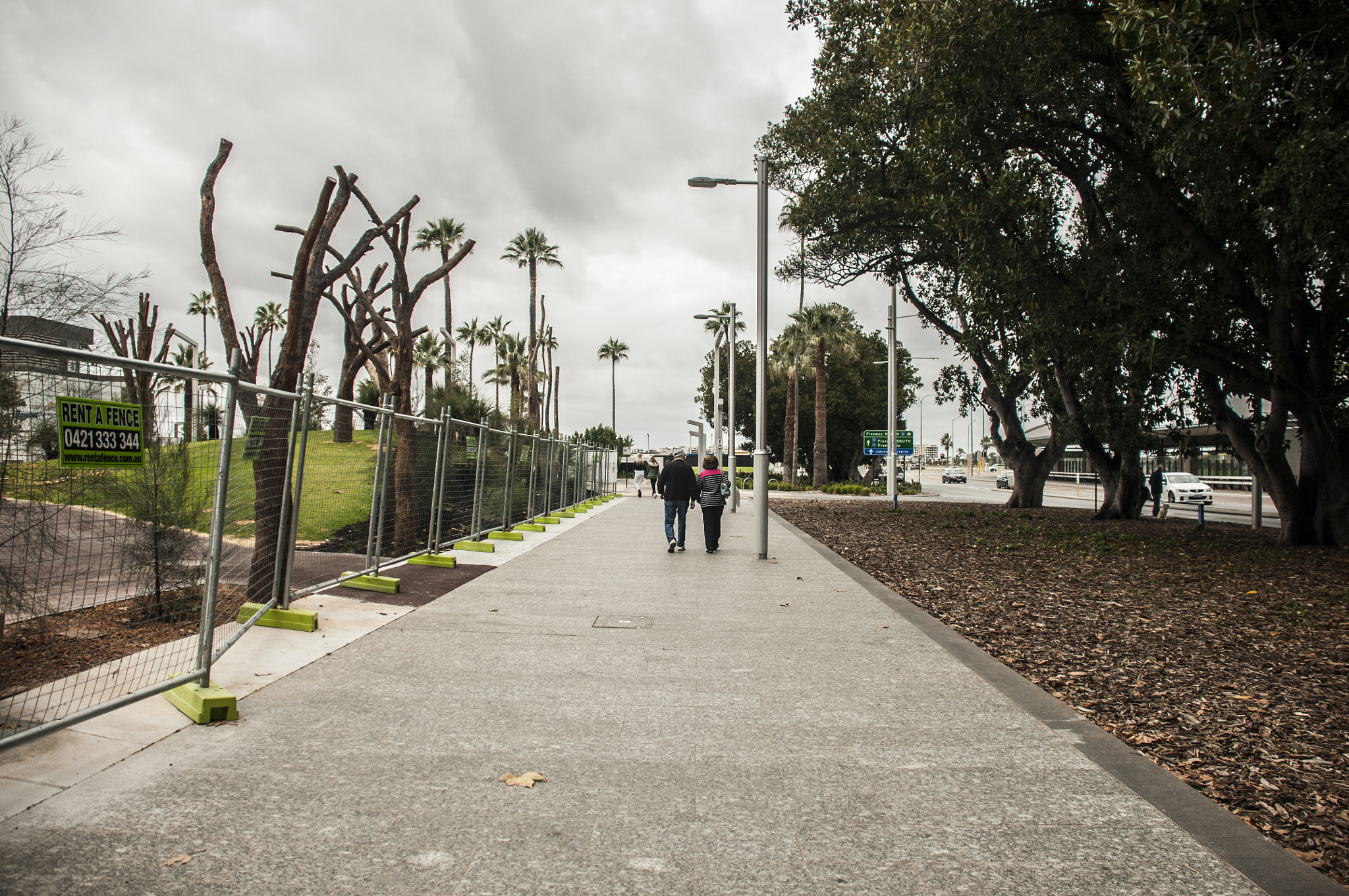 Nikon D300S sample photo. Dsc_9937.jpg photography