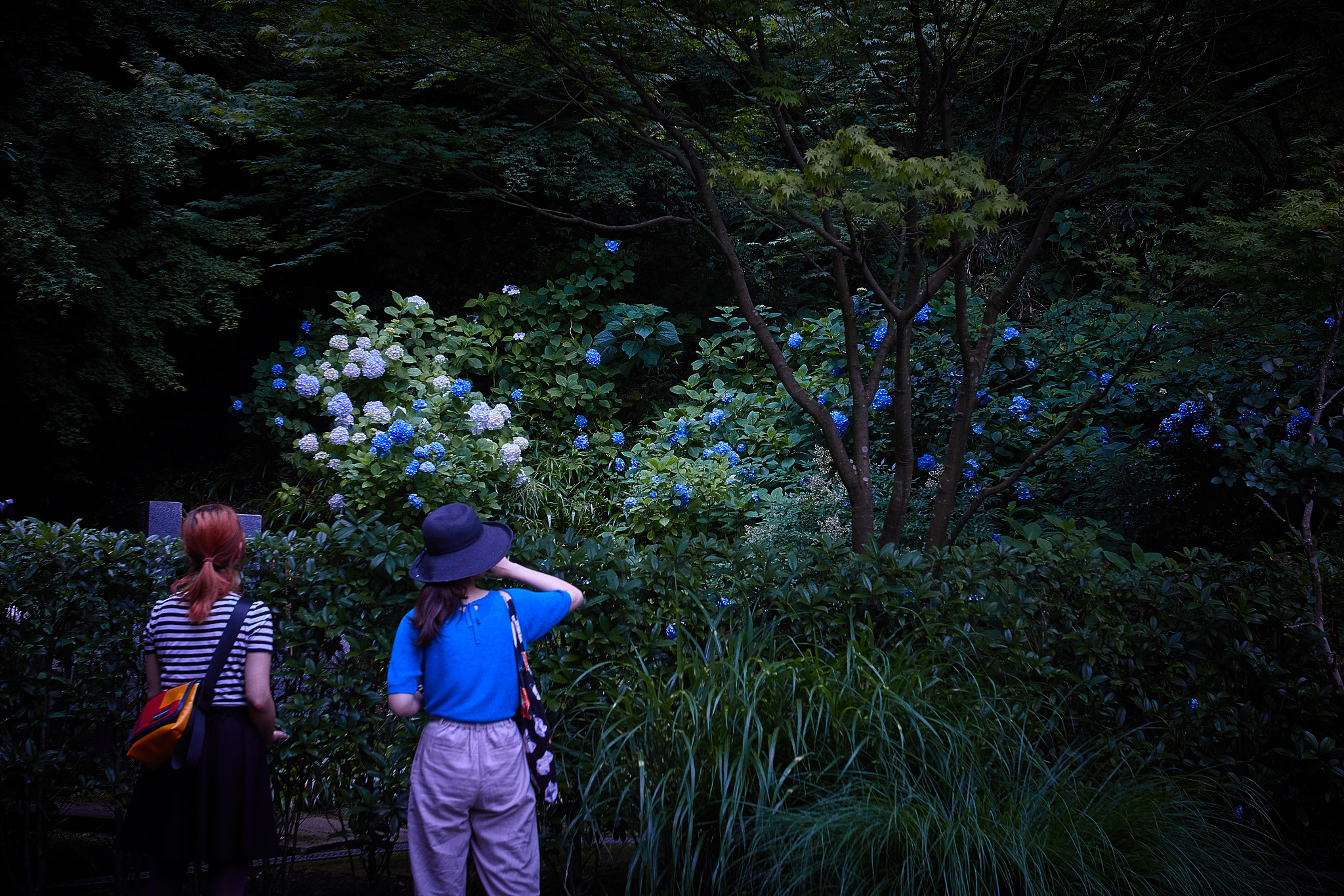 Canon EOS 70D + Canon EF 16-35mm F2.8L USM sample photo. Release me from dry land photography