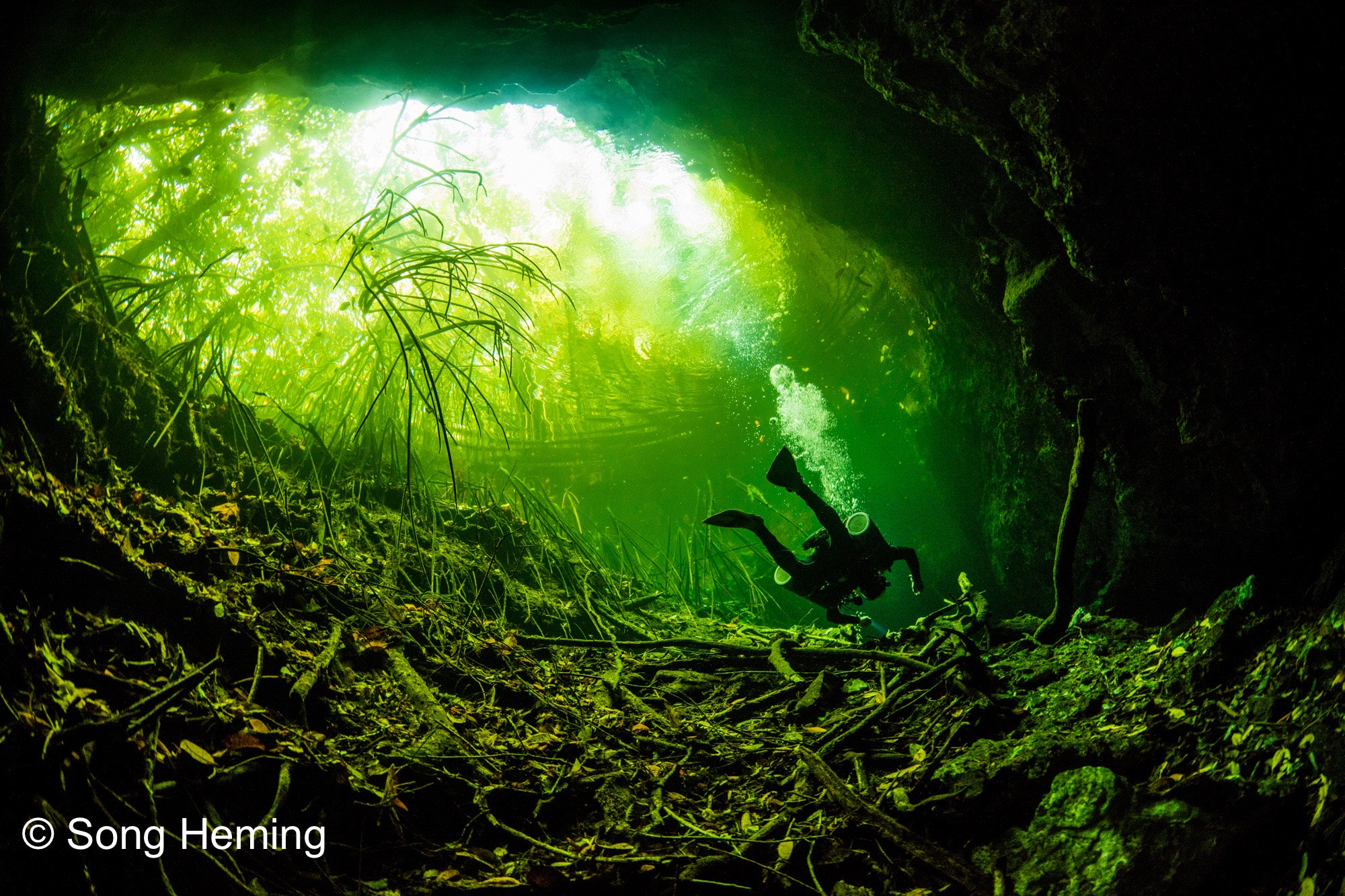 Canon EOS 5DS R + Canon EF 8-15mm F4L Fisheye USM sample photo. Diving in the cenote photography