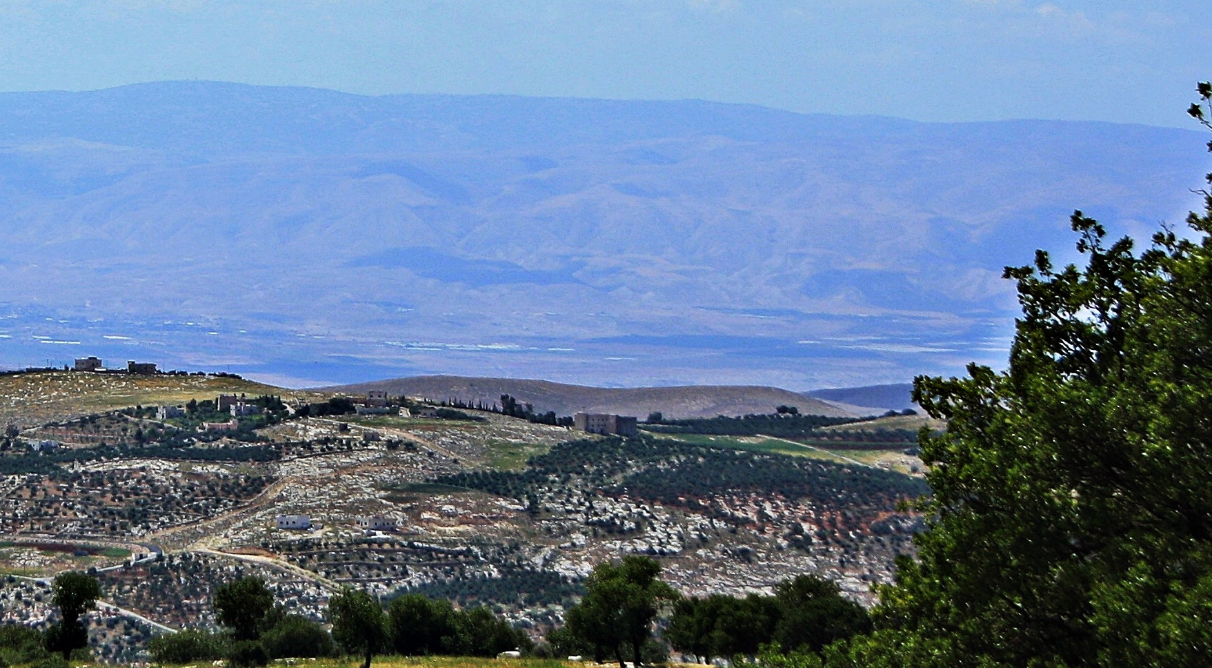 Canon EOS 1000D (EOS Digital Rebel XS / EOS Kiss F) + Canon EF-S 18-55mm F3.5-5.6 sample photo. Palestine as seen from jordan photography