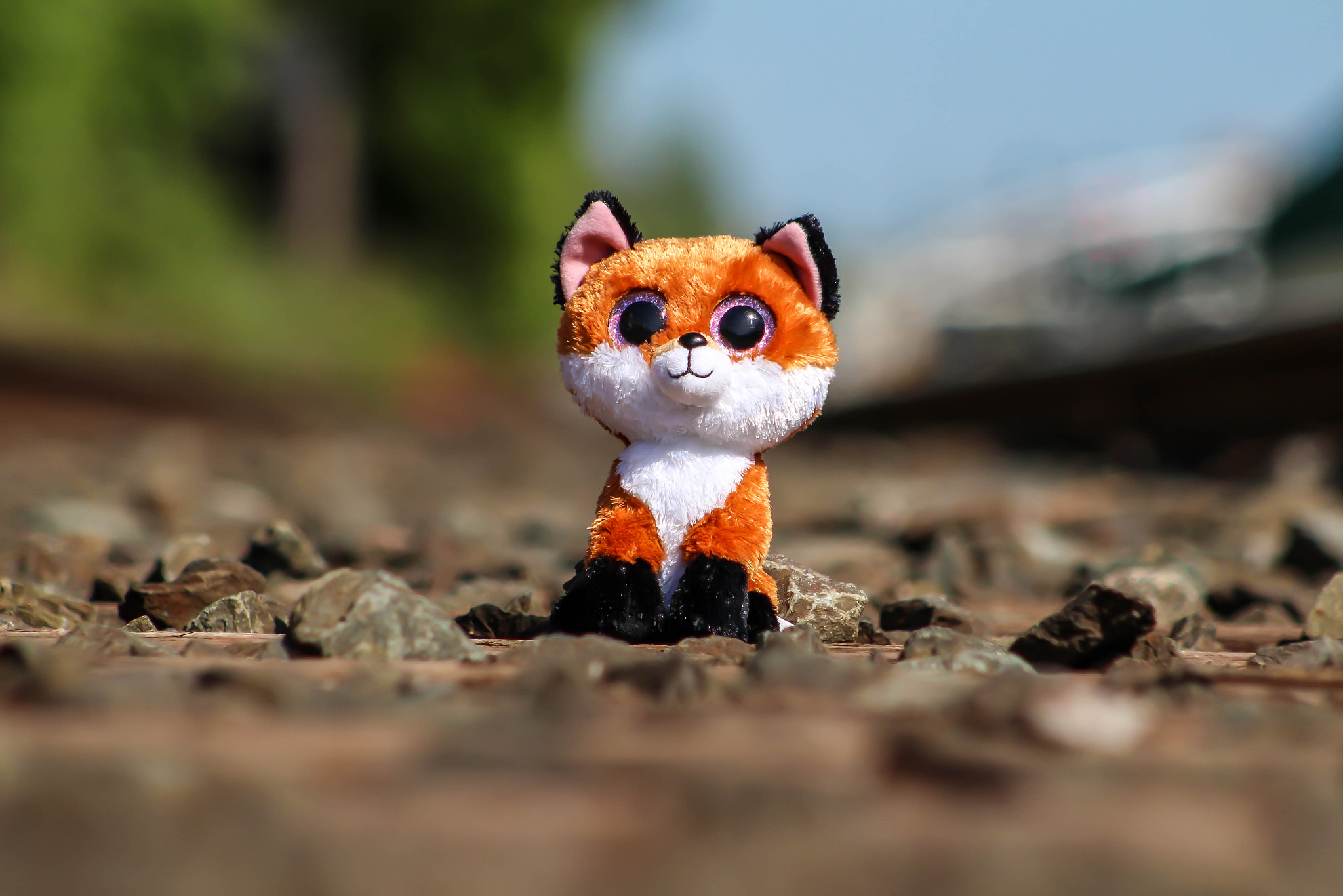 Canon EF 75-300mm f/4-5.6 USM sample photo. Fox love photography
