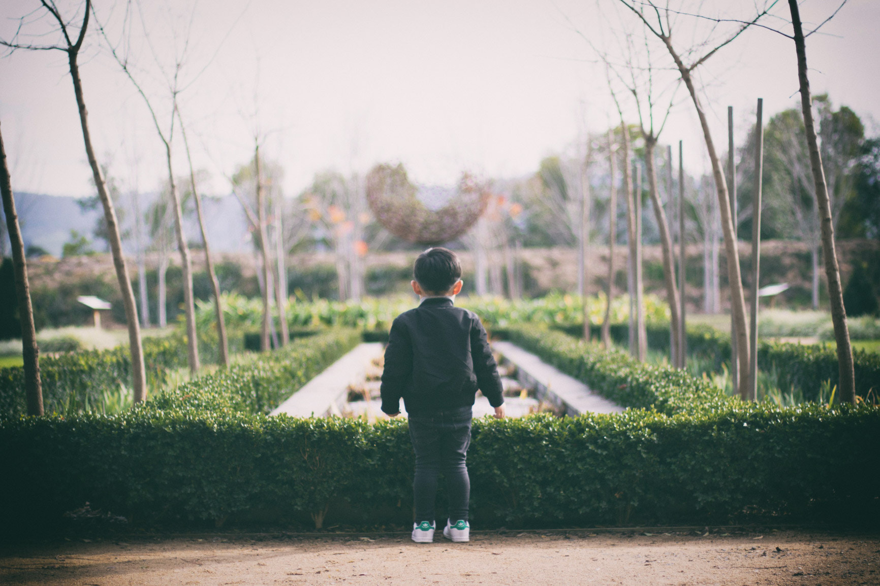 Canon EF 50mm F1.4 USM sample photo. He waits...  photography