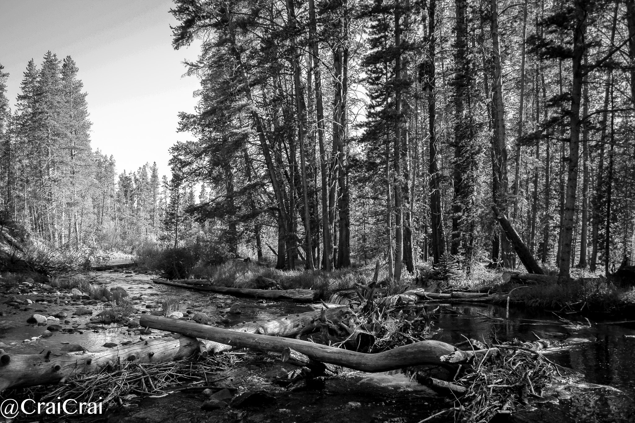 Canon EF-S 18-55mm F3.5-5.6 sample photo. Turquoise lake - leadville, co photography