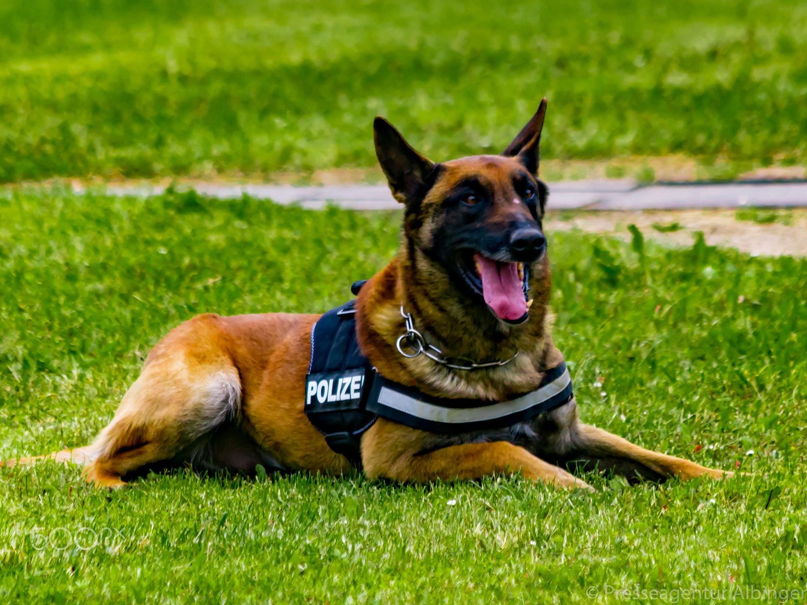Canon EF 70-300mm F4-5.6 IS USM sample photo. 2016-06-11 polizeiveranstaltung photography