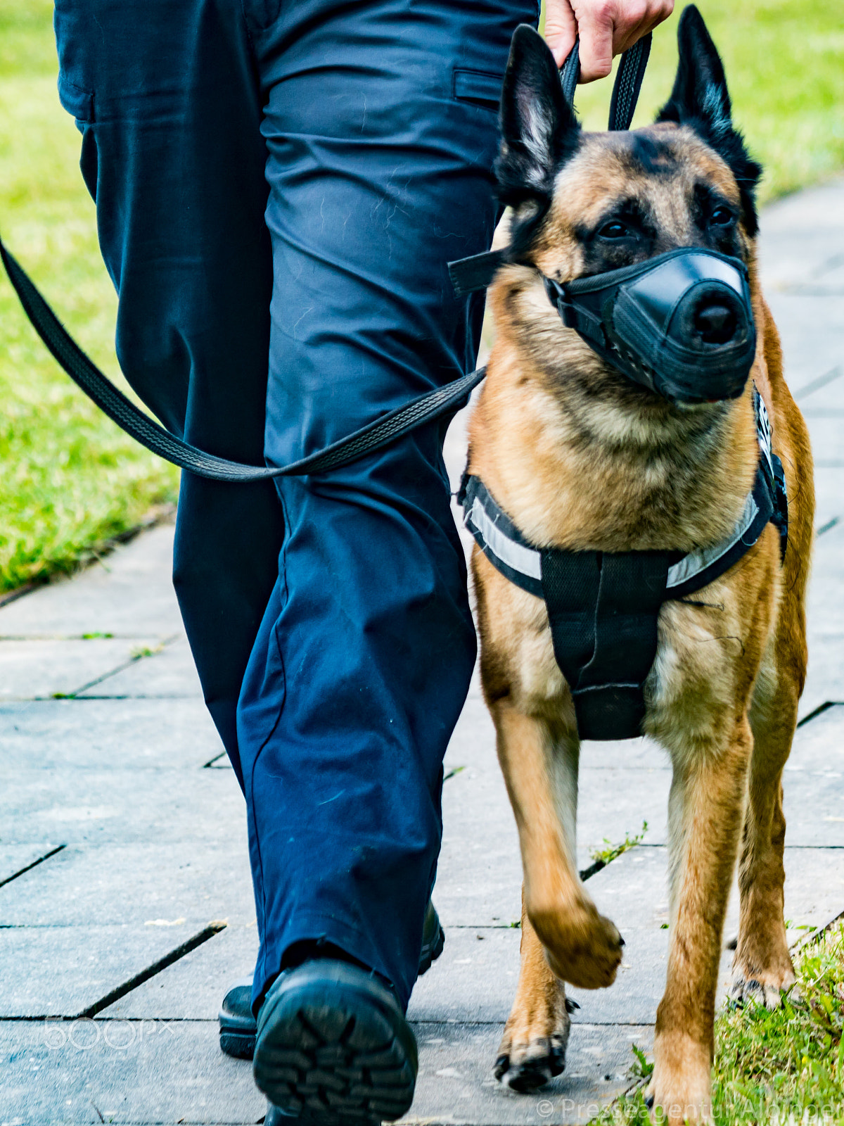 Canon EF 70-300mm F4-5.6 IS USM sample photo. 2016-06-11 polizeiveranstaltung photography