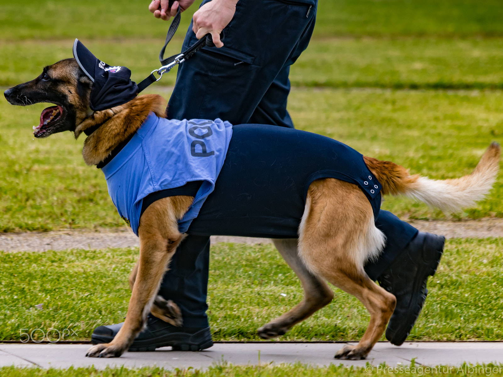 Canon EF 70-300mm F4-5.6 IS USM sample photo. 2016-06-11 polizeiveranstaltung photography