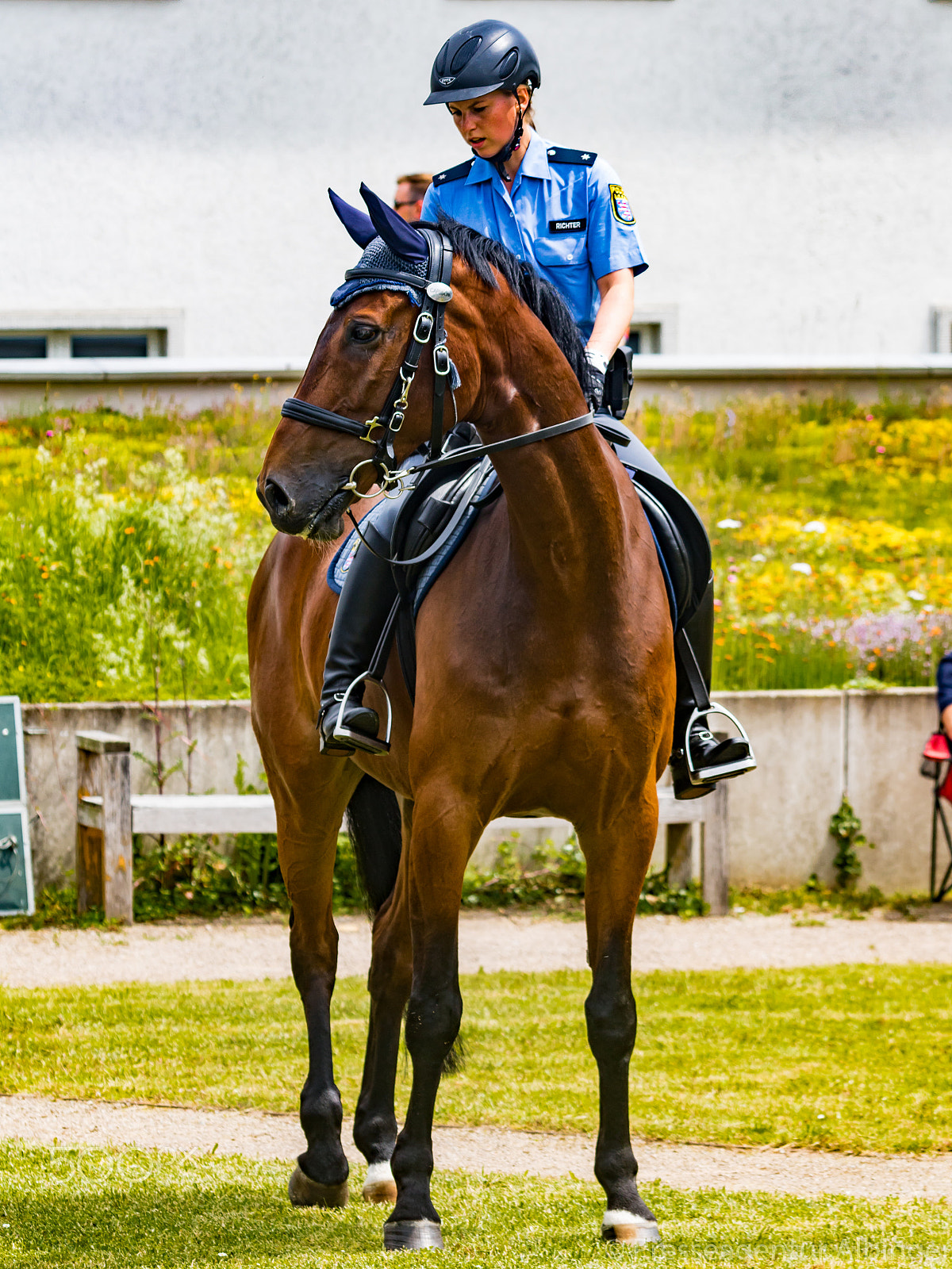 Canon EF 70-300mm F4-5.6 IS USM sample photo. 2016-06-11 polizeiveranstaltung photography