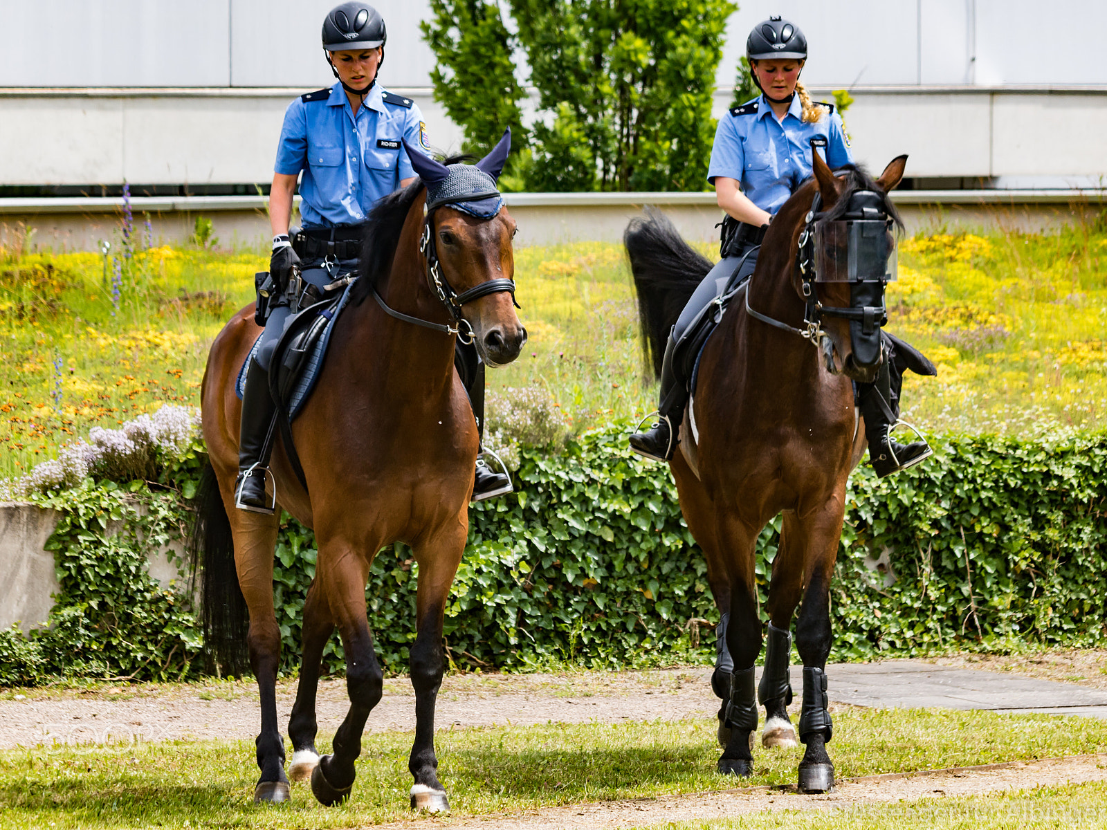 Canon EF 70-300mm F4-5.6 IS USM sample photo. 2016-06-11 polizeiveranstaltung photography