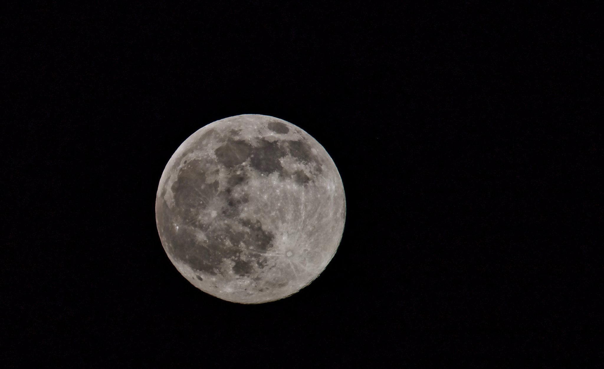 Canon EF 100-400mm F4.5-5.6L IS USM sample photo