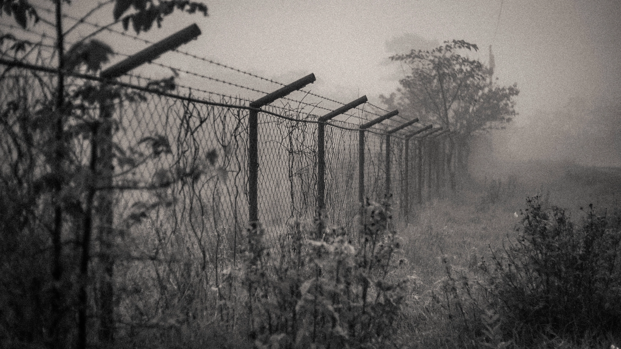 Sony a7 + 50mm F1.8 II sample photo. The boy in the striped pajamas photography