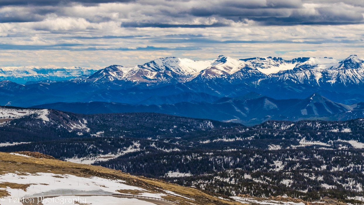 Canon EOS 760D (EOS Rebel T6s / EOS 8000D) sample photo. Panorama of montana's beartooth highway photography