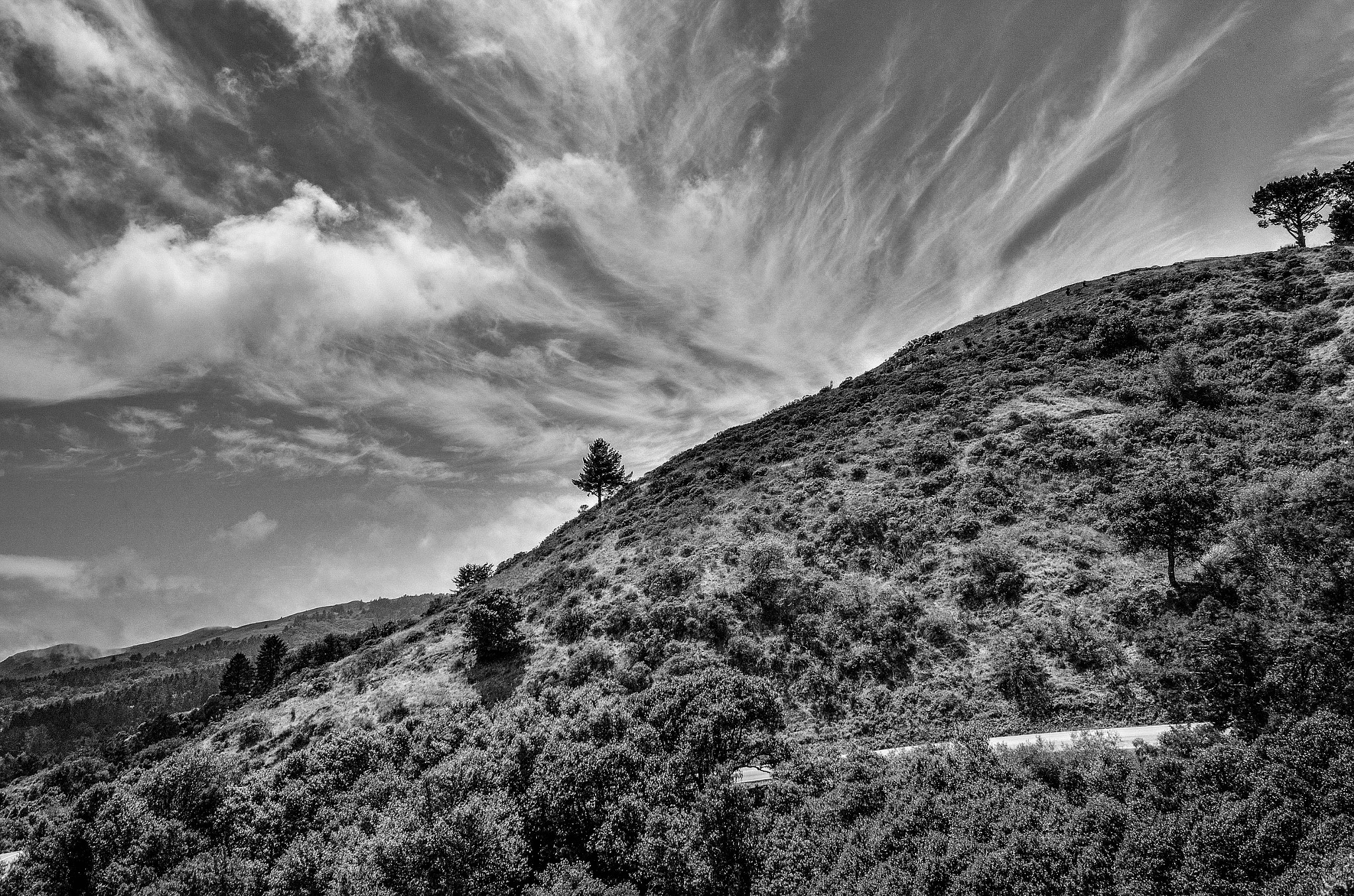 Sigma 8-16mm F4.5-5.6 DC HSM sample photo. On the way back from muir woods photography