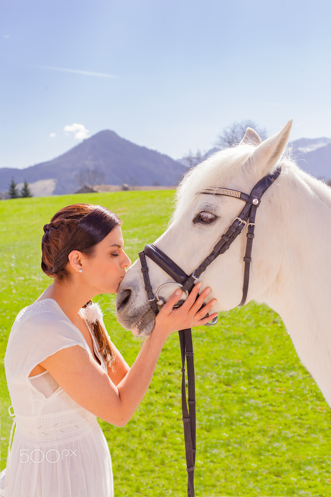 Canon EF 50mm F1.4 USM sample photo. She loves your horse photography