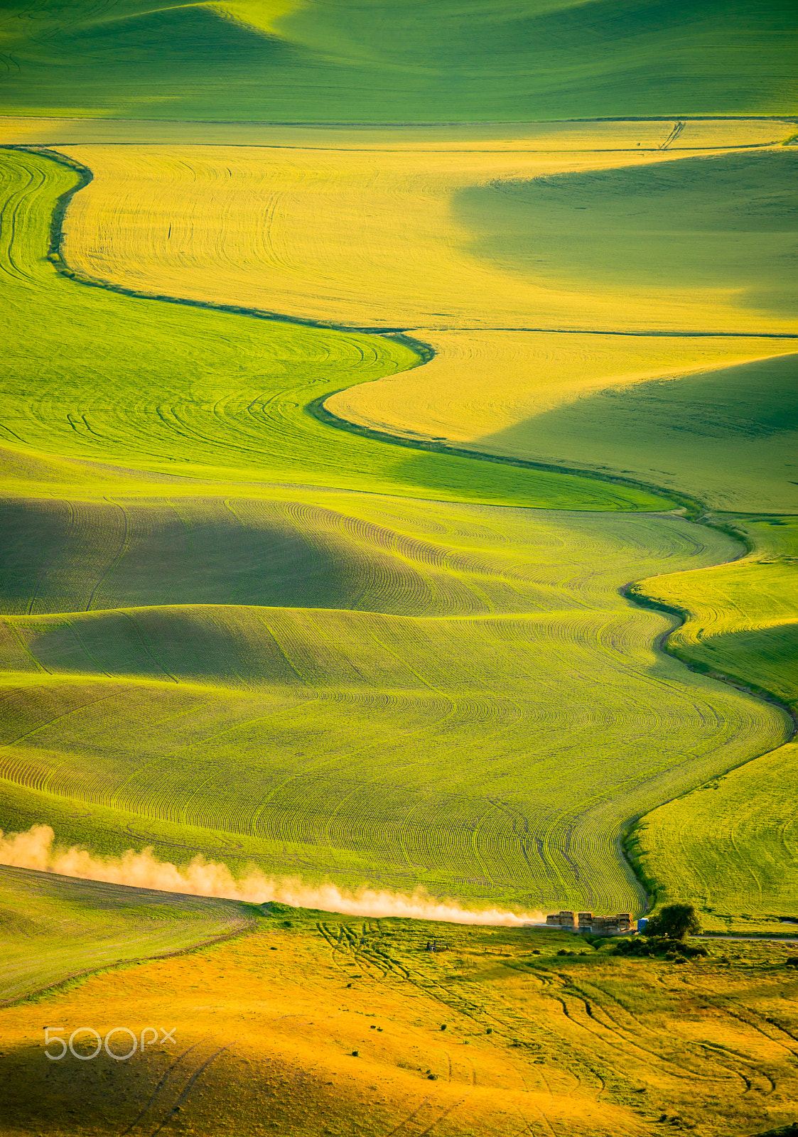 Nikon D800E sample photo. Driving under the morning light photography