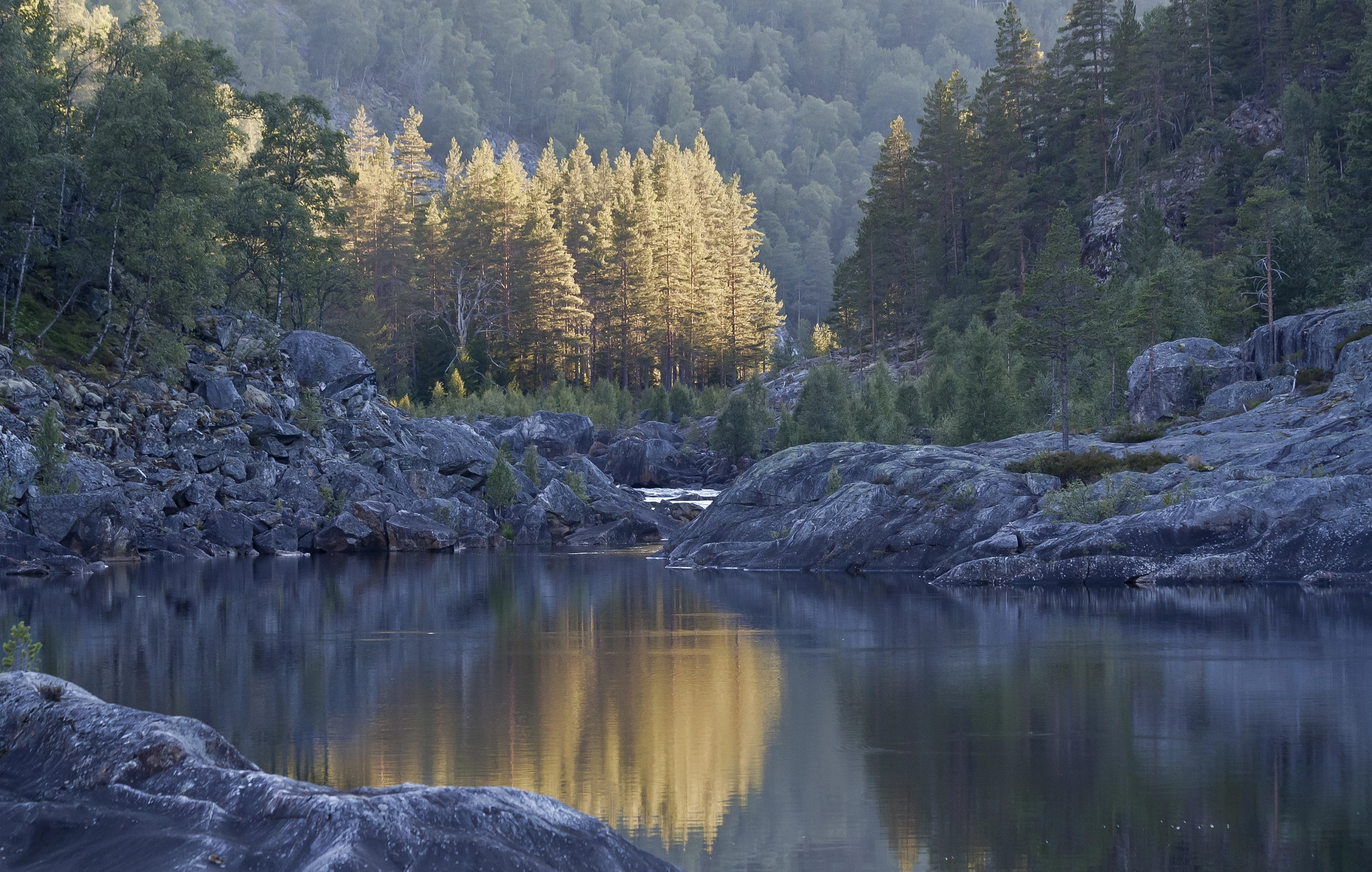 Canon EF 70-300mm F4-5.6 IS USM sample photo. Golden trees photography