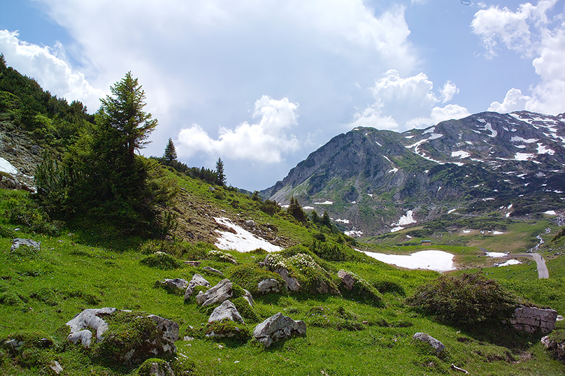 Kodak DCS Pro 14N sample photo. In den alpen photography
