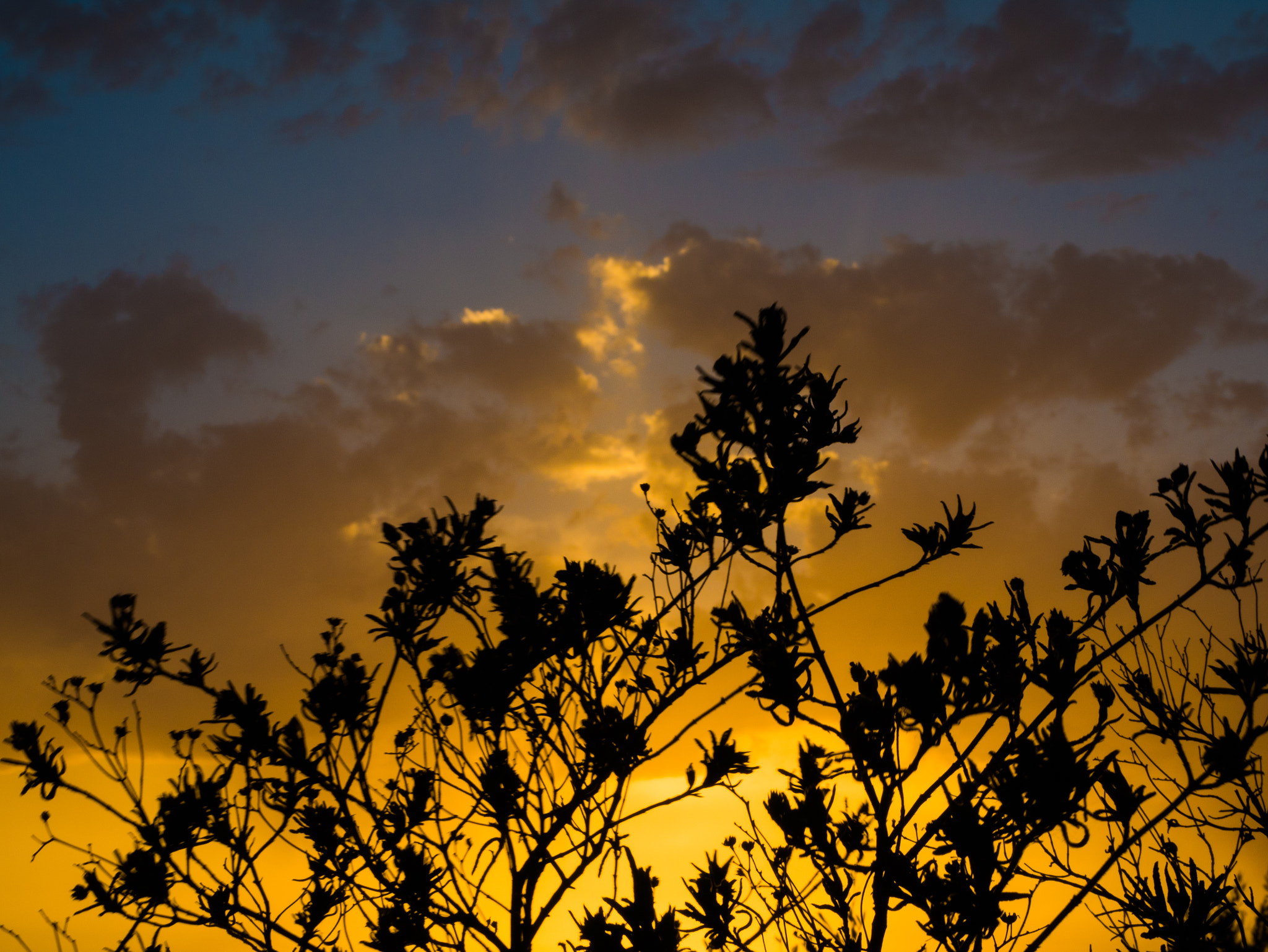 Panasonic Lumix G Vario 45-200mm F4-5.6 OIS sample photo. Sonnenuntergang photography