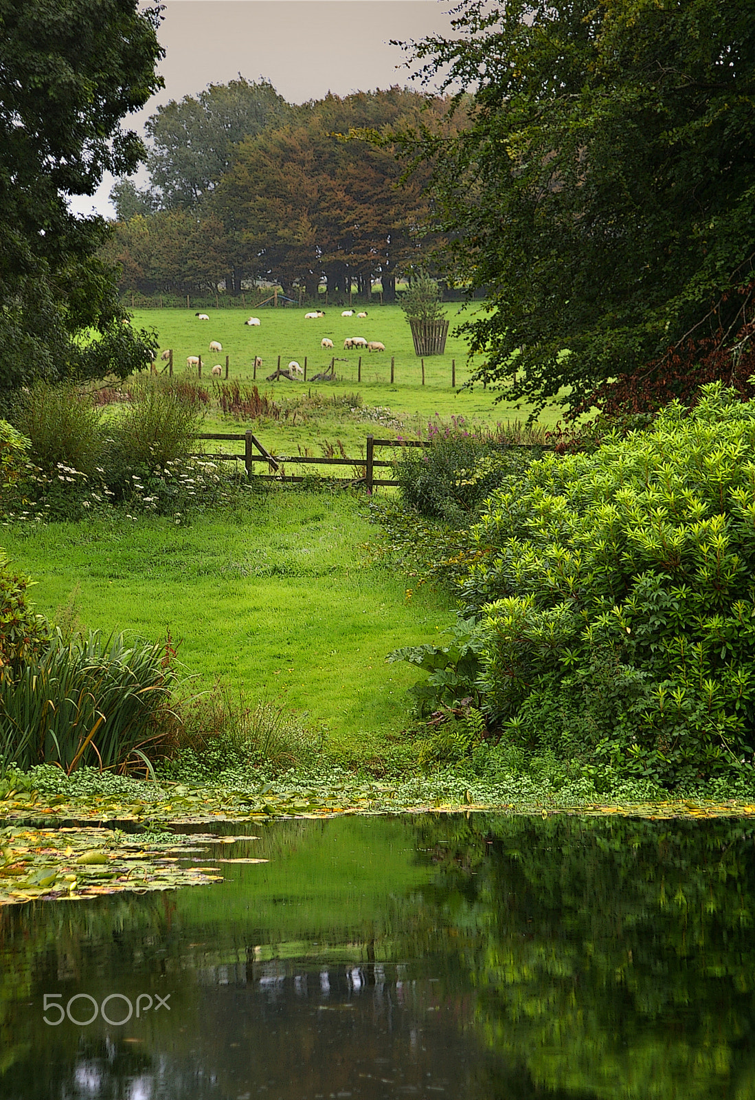 Pentax *ist DL sample photo. Country meadow photography