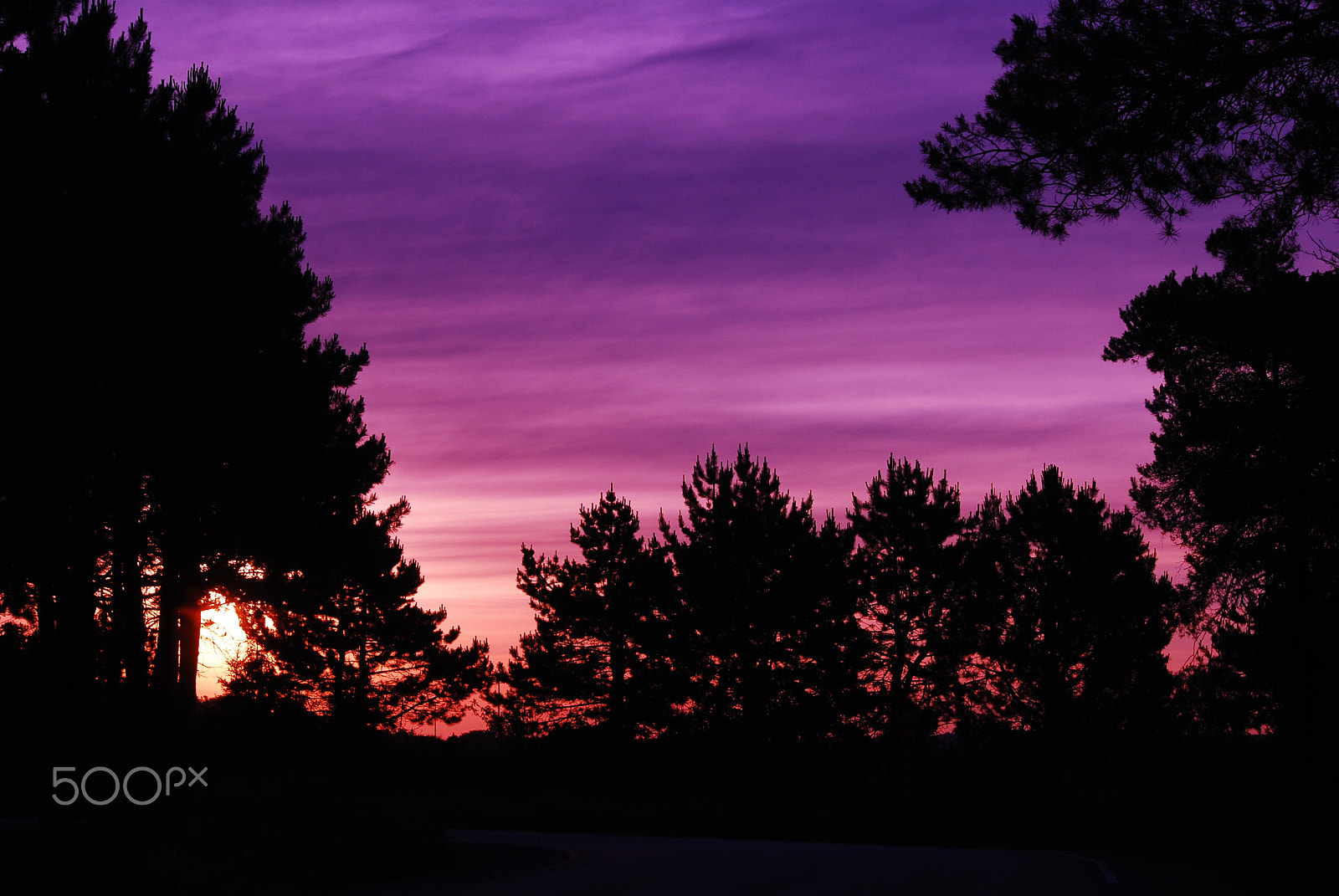 Nikon D60 sample photo. Alliston sunrise 8! photography