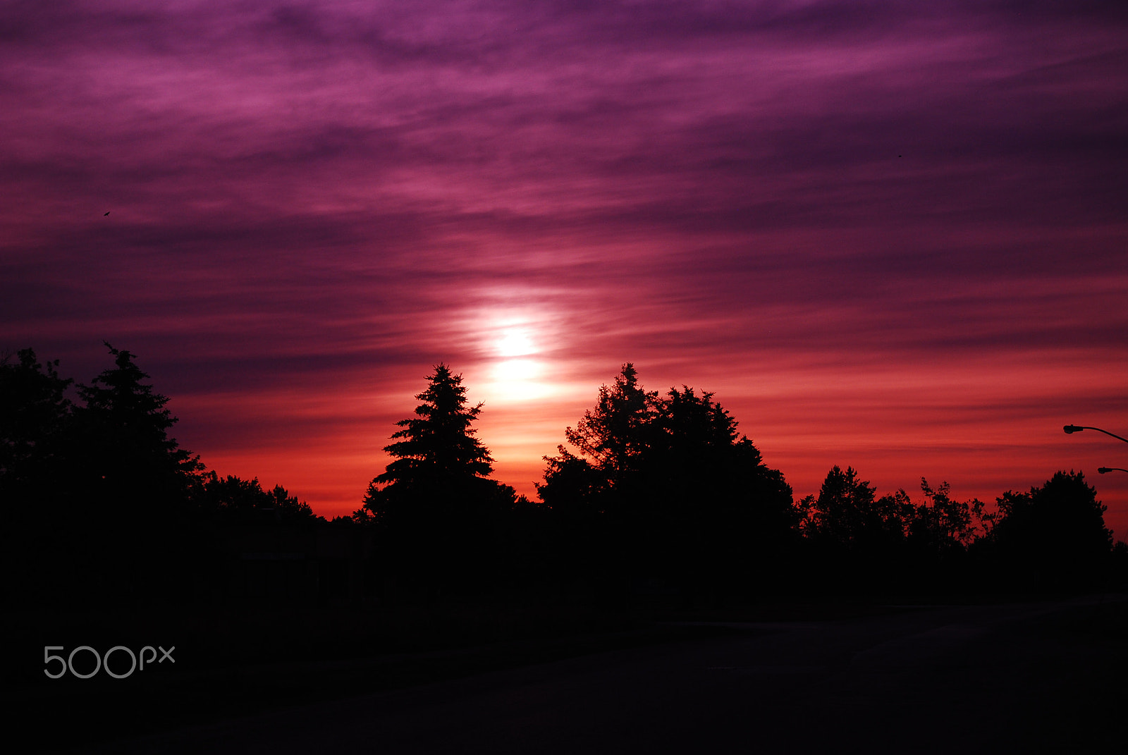 Nikon D60 sample photo. Alliston sunrise 11! photography
