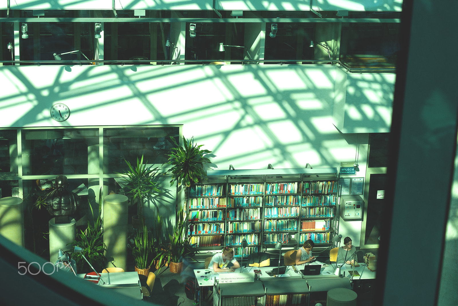 Sony Alpha DSLR-A300 sample photo. In the library photography