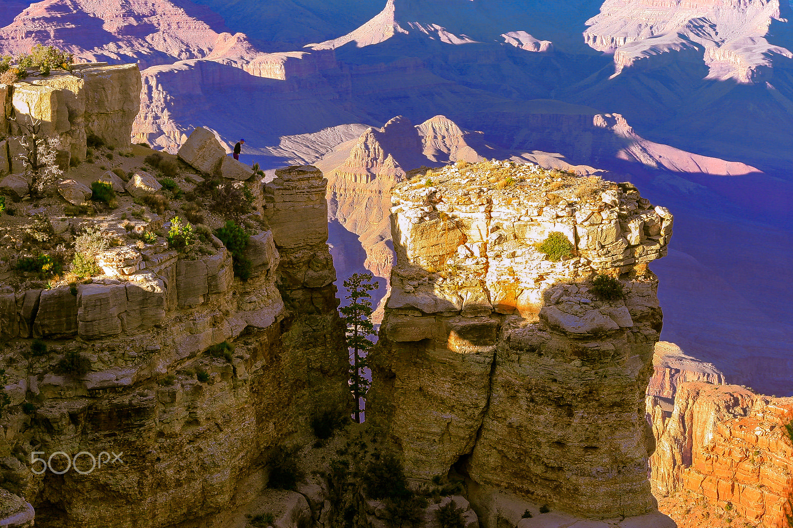 Canon EOS 30D + Canon EF 24-105mm F4L IS USM sample photo. Grand canyon nutcase 1 photography