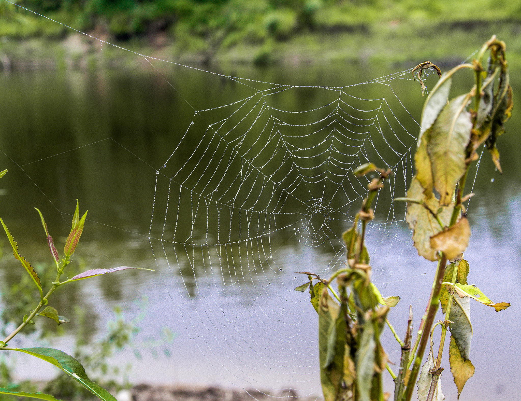 Sony Alpha DSLR-A580 sample photo. On river photography